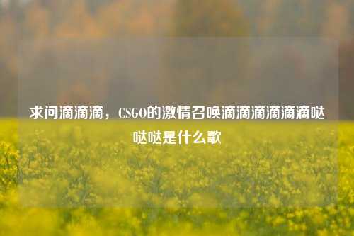 求问滴滴滴,CSGO的激情召唤滴滴滴滴滴滴哒哒哒是什么歌
