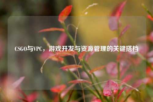 CSGO与VPC，游戏开发与资源管理的关键搭档