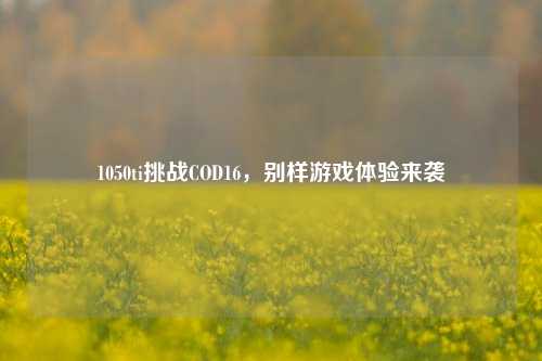 1050ti挑战COD16，别样游戏体验来袭