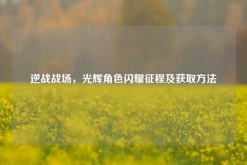 逆战战场,光辉角色闪耀征程及获取方法