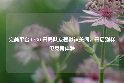 完美平台 CSGO 开局队友麦默认关闭，开启别样电竞新体验