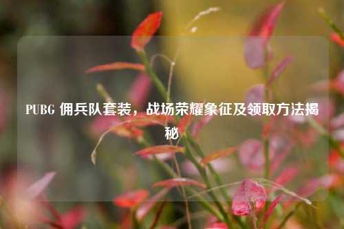 PUBG 佣兵队套装，战场荣耀象征及领取方法揭秘