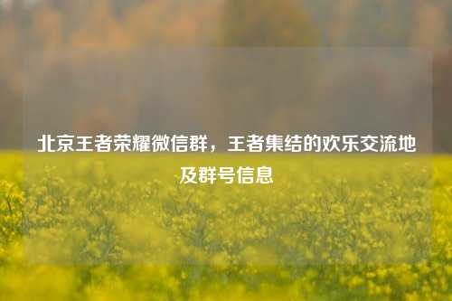 北京王者荣耀微信群,王者集结的欢乐交流地及群号信息