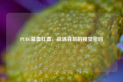 PUBG蓝血红血，战场背后的视觉密码