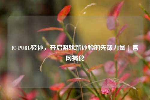 IC PUBG轻体，开启游戏新体验的先锋力量 | 官网揭秘
