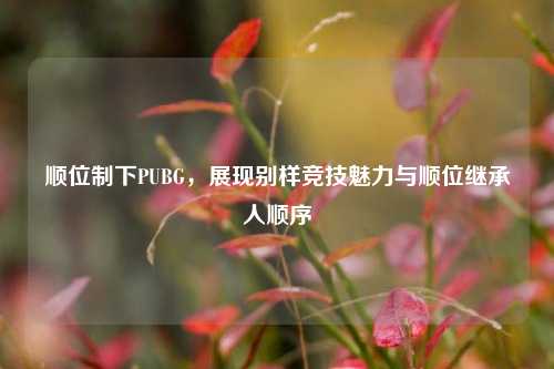 顺位制下PUBG，展现别样竞技魅力与顺位继承人顺序