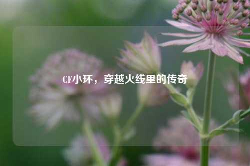 CF小环，穿越火线里的传奇