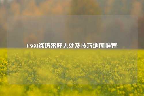 CSGO练扔雷好去处及技巧地图推荐