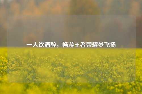 一人饮酒醉，畅游王者荣耀梦飞扬