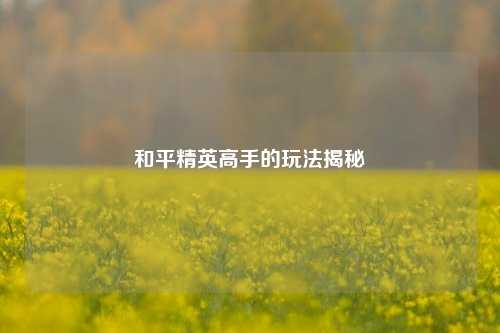 和平精英高手的玩法揭秘