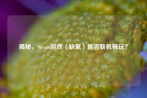 揭秘,Steam游戏〈缺氧〉能否联机畅玩?