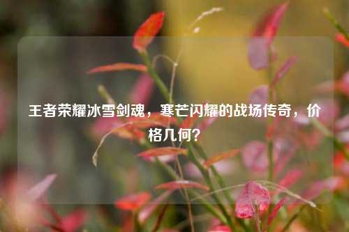 王者荣耀冰雪剑魂，寒芒闪耀的战场传奇，价格几何？
