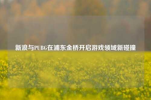 新浪与PUBG在浦东金桥开启游戏领域新碰撞
