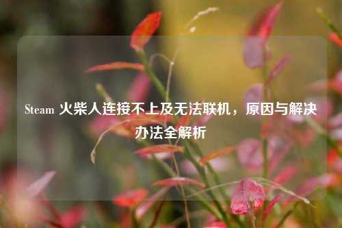 Steam 火柴人连接不上及无法联机,原因与解决办法全解析