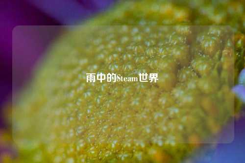雨中的Steam世界