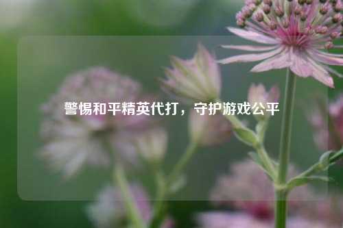 警惕和平精英代打，守护游戏公平