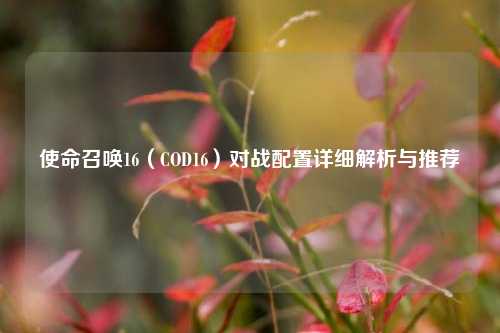 使命召唤16(COD16)对战配置详细解析与推荐