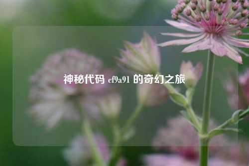 神秘代码 cf9a91 的奇幻之旅