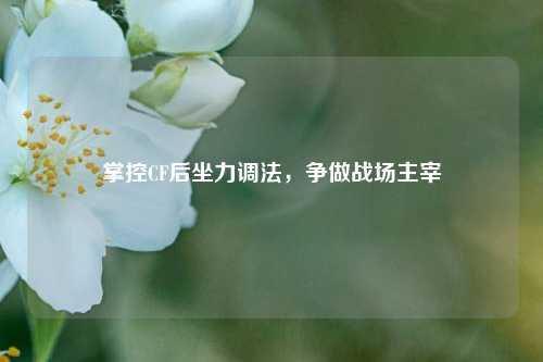掌控CF后坐力调法,争做战场主宰