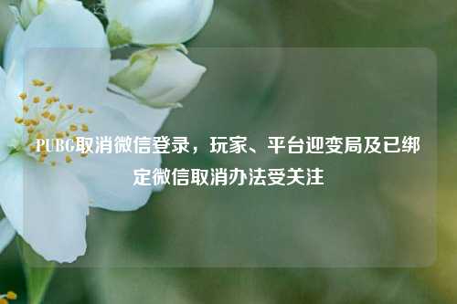 PUBG取消微信登录，玩家、平台迎变局及已绑定微信取消办法受关注