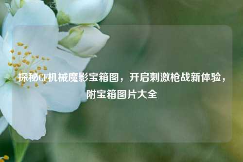 探秘CF机械魔影宝箱图,开启刺激枪战新体验,附宝箱图片大全