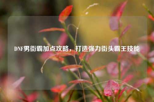 DNF男街霸加点攻略，打造强力街头霸王技能