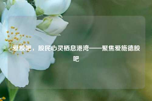 爱股吧,股民心灵栖息港湾——聚焦爱施德股吧
