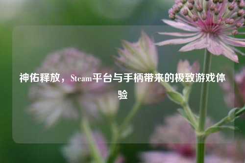 神佑释放，Steam平台与手柄带来的极致游戏体验