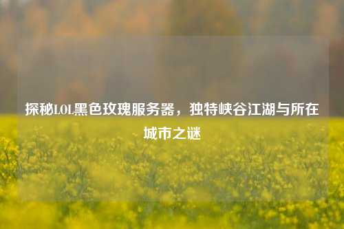 探秘LOL黑色玫瑰服务器，独特峡谷江湖与所在城市之谜