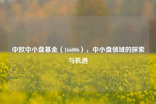 中欧中小盘基金(166006),中小盘领域的探索与机遇