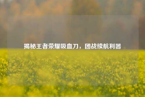 揭秘王者荣耀吸血刀,团战续航利器