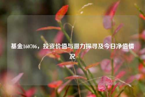 基金160706，投资价值与潜力探寻及今日净值情况