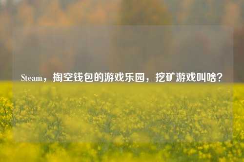 Steam,掏空钱包的游戏乐园,挖矿游戏叫啥?