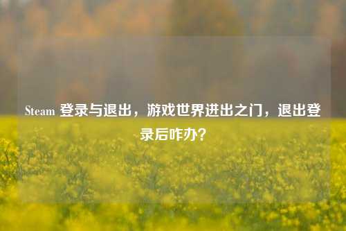 Steam 登录与退出，游戏世界进出之门，退出登录后咋办？
