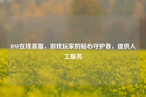 DNF在线客服，游戏玩家的贴心守护者，提供人工服务