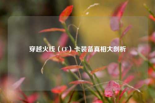 穿越火线(CF)卡装备真相大剖析