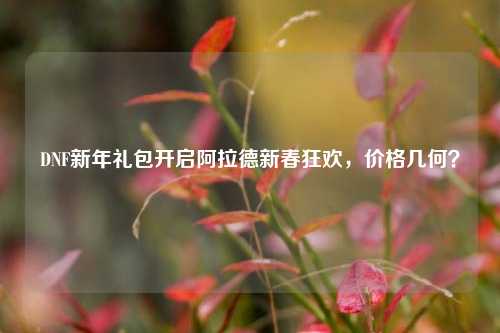DNF新年礼包开启阿拉德新春狂欢，价格几何？