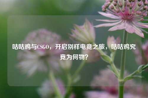 咕咕鸡与CSGO，开启别样电竞之旅，咕咕鸡究竟为何物？