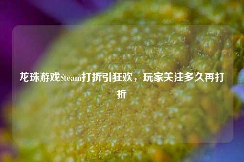 龙珠游戏Steam打折引狂欢,玩家关注多久再打折