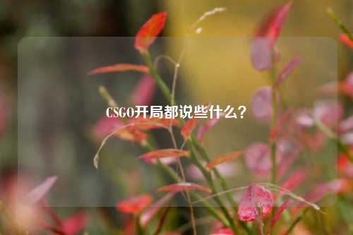 CSGO开局都说些什么?