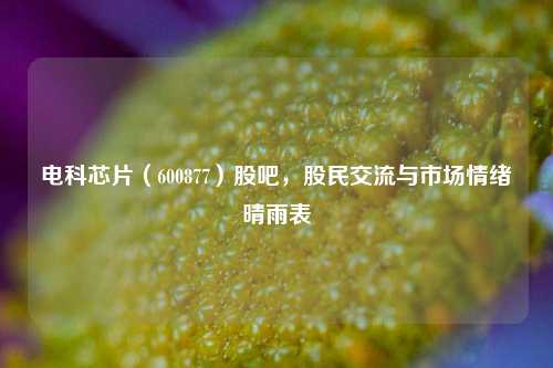 电科芯片（600877）股吧，股民交流与市场情绪晴雨表