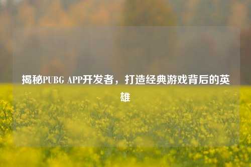 揭秘PUBG APP开发者,打造经典游戏背后的英雄