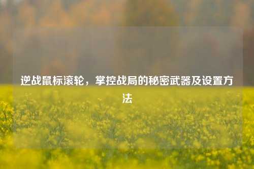 逆战鼠标滚轮，掌控战局的秘密武器及设置方法