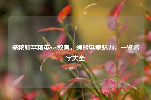 探秘和平精英Sky教官，领略电竞魅力，一览名字大全