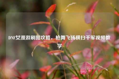 DNF女漫游刷图攻略,枪舞飞扬横扫千军视频教学