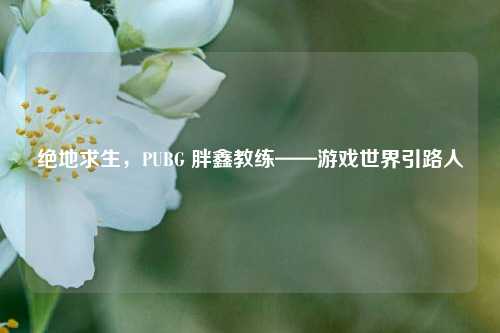 绝地求生,PUBG 胖鑫教练——游戏世界引路人