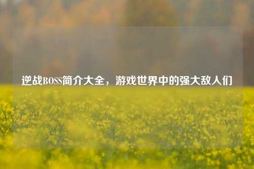 逆战BOSS简介大全,游戏世界中的强大敌人们