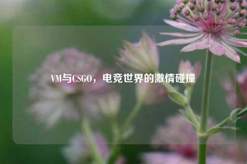 VM与CSGO,电竞世界的激情碰撞