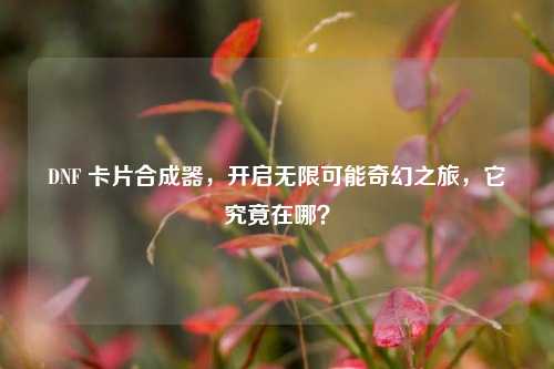 DNF 卡片合成器,开启无限可能奇幻之旅,它究竟在哪?