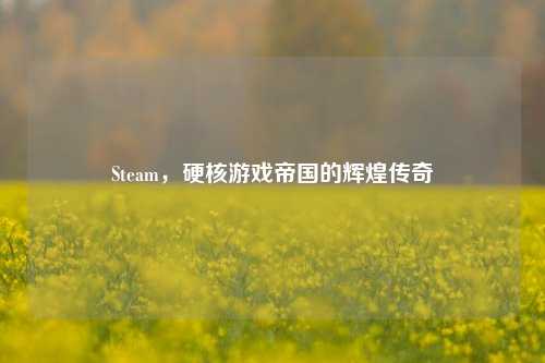 Steam,硬核游戏帝国的辉煌传奇